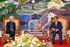 越南财政部长丁进勇同国际货币基金组织总裁拉加德举行工作会谈（图片来源： mof.gov.vn）