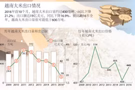 越南大米出口情况