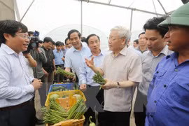 越共中央总书记阮富仲赴河静省调研（图片来源：越通社）