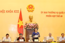 越南国会主席阮氏金银在国会常委会四十九次会议上发表讲话（图片来源：越通社）