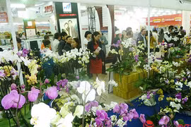 岘港市2016丙申春节展销会1月27日正式开展，吸引全国近200家企业和合作社参展