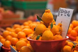 附图（图片来源：myseoulsearching.com）