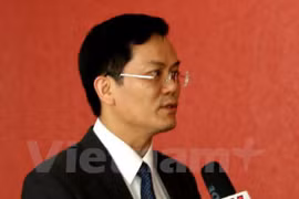 越南外交部副部长何金玉