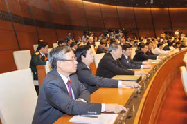 国会代表表决通过《2016-2020年经济社会发展五年计划》决议（图片来源：越通社）