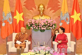 越南国会主席阮氏金银会见不丹议会议长吉格梅·章波（图片来源：越通社）