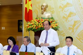 越南政府办公厅主任梅进勇部长