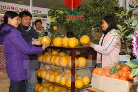 附图（图片来源：越通社）