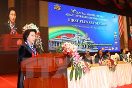 越南国会主席阮氏金银​在大会上发表讲话