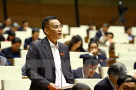 广宁省国会代表在会议上发表讲话​ 