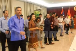 表演节目之一 (图片来源:越通社)