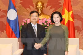 越南国会主席阮氏金银会见老挝国会副主席宋潘·平坎米（越通社—VNA）