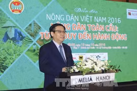 越南政府副总理王廷惠在论坛上发表讲话（图片来源：越通社）