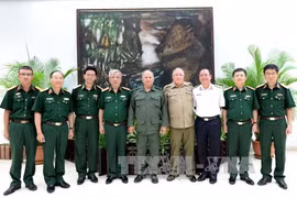 双方领导合影（图片来源：越通社）