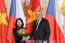 国家副主席邓氏玉盛会见捷克总统米洛什•泽曼。