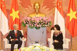 越南国会主席阮氏金银会见新加坡副总理张志贤（图片来源：越通社）