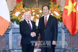 越南国家主席陈大光和爱尔兰共和国总统麦克·希金斯（图片来源：越通社）