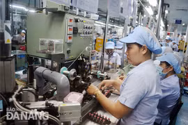 越南岘港市努力增强企业发展信心