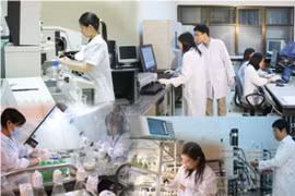 河内市力争2020年发展成为越南技术开发和转让中心
