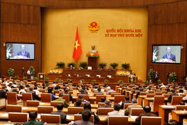 越南国会主席阮生雄在会上发表讲话（图片来源：越通社）