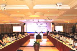 “配合行动，打造便利经商环境”会议场景（图片来源：越通社）