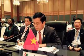 越南外交部副部长何金玉（图片来源：越通社）
