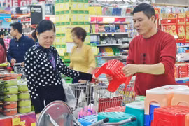 附图（图片来源：越南人民报）