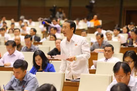 国会代表（图片来源：越通社）