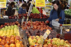 附图（图片来源：越通社）