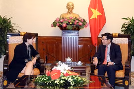 越南政府副总理兼外交部长范平明会见意大利驻越南大使