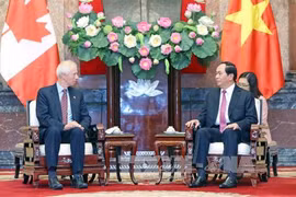 越南国家主席陈大光会见加拿大驻越大使大卫·迪瓦恩（图片来源：越通社）