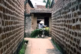 唐林古村