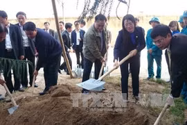 黄忠海副总理出席春季下田节和2016年植树节启动仪式