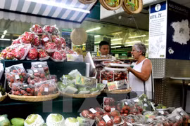附图（图片来源：越通社）