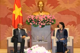 越南国会主席阮氏金银在国会大厦会见了古巴驻越南大使埃米尼奥•洛佩斯•迪亚兹。