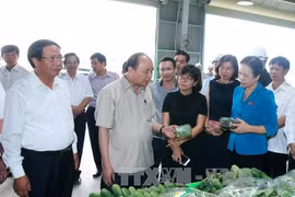 越南政府总理阮春福参观海防VinEco高科技农业投资项目（图片来源：越通社）