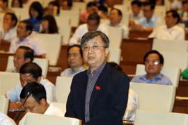 胡志明市国会代表发表意见（图片来源：越通社）