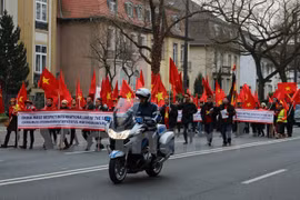 旅德越南人举行和平示威游行抗议中国在东海的行为（图片来源：越通社）
