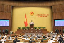 会议现场（图片来源：越通社）