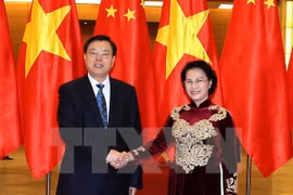 越南国会主席阮氏金银和中国全国人大常委会委员长张德江（图片来源：越通社）