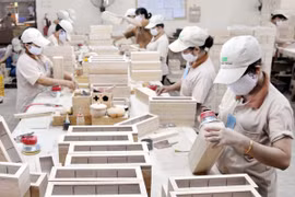 附图（图片来源：越通社）