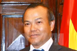 越南外交部副部长武鸿南（图片来源：越通社）