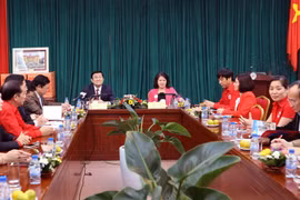 越南国家主席张晋创与越南红十字会举行2015年越南红十字会工作总结暨2016年核心任务部署会议（图片来源：越通社）