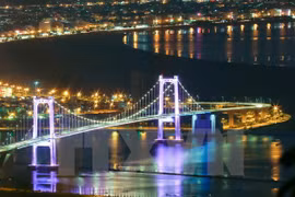 岘港市美丽夜景​ （图片来源：越通社）
