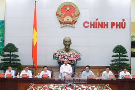 越南政府总理在政府6月份例行会议上发表讲话（图片来源：越通社）