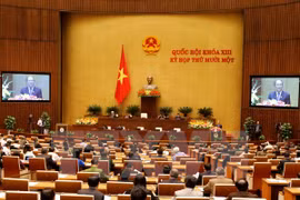越南第十三届国会第十一次会议 