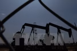 ​附图（图片来源：AFP/TTXVN）