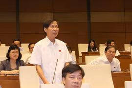 宁平省国会代表发表意见（图片来源：越通社）