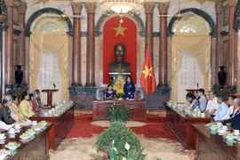 越南国家副主席邓氏玉盛（图片来源：越通社）