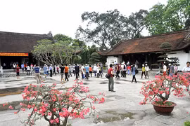金莲——南潭遗迹区。