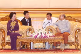 越南国会主席阮氏金银会见缅甸联邦议会议长曼温凯丹。